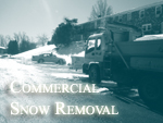 Snow Removal